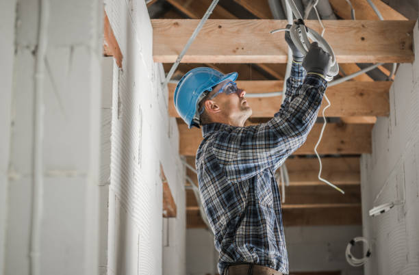 Best Electrical Repair Services  in Mazon, IL