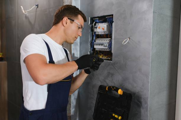 Best Electrical System Inspection  in Mazon, IL